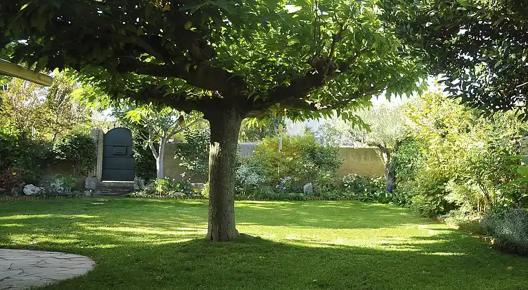 Holiday home in Cournonterral