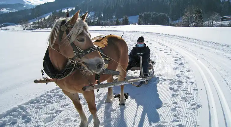 Appartamento in Bernau
