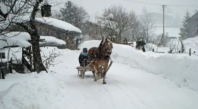 Appartamento in Bernau