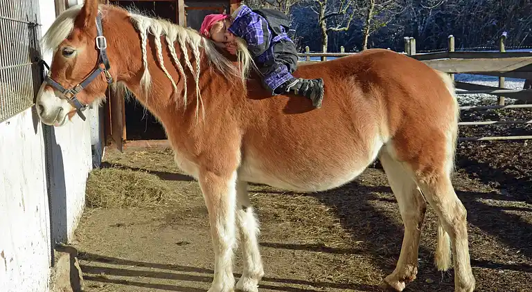 Appartamento in Bernau