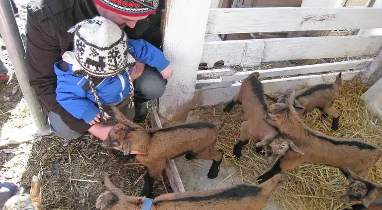 Appartamento in Bernau