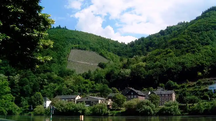 Holiday home in Lieser