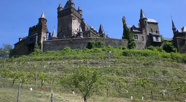 Holiday home in Lieser