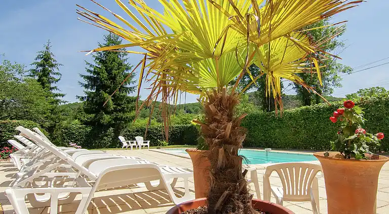 Cottage in Saint-Cyprien