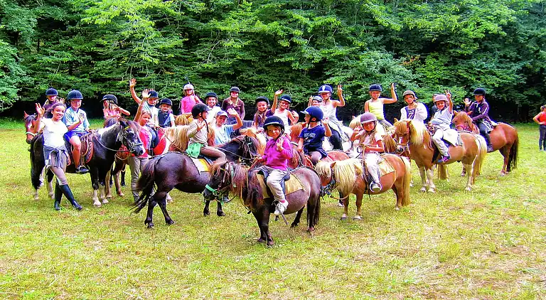 Cottage in Saint-Cyprien