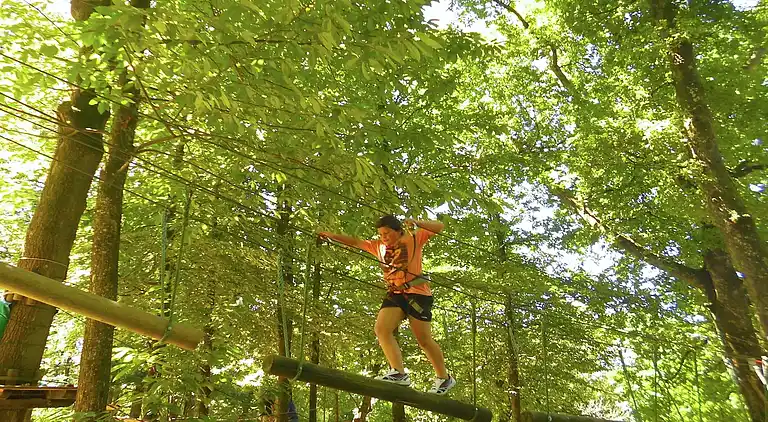 Cottage in Saint-Cyprien