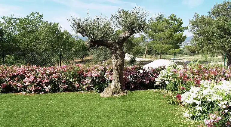 Villa i Roquebrune-sur-Argens