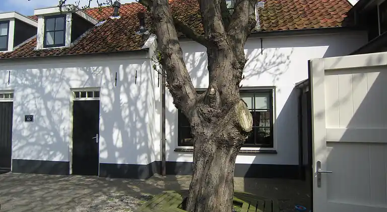Apartment in Noordwijk aan Zee