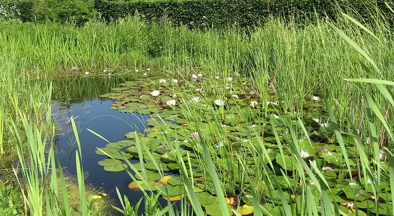 Holiday home in Baarland