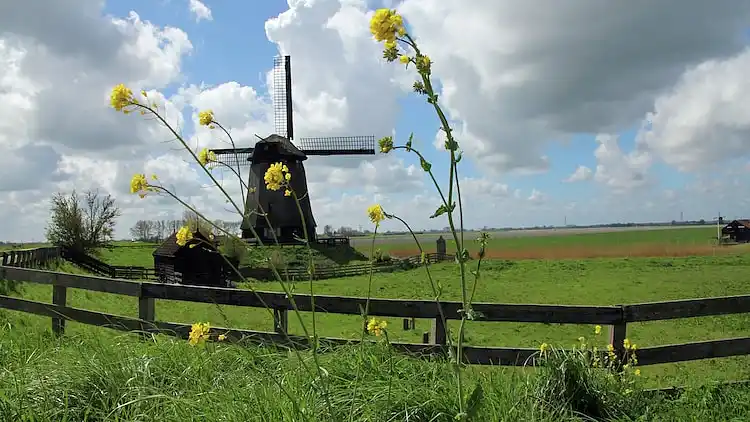 Holiday home in Grootschermer