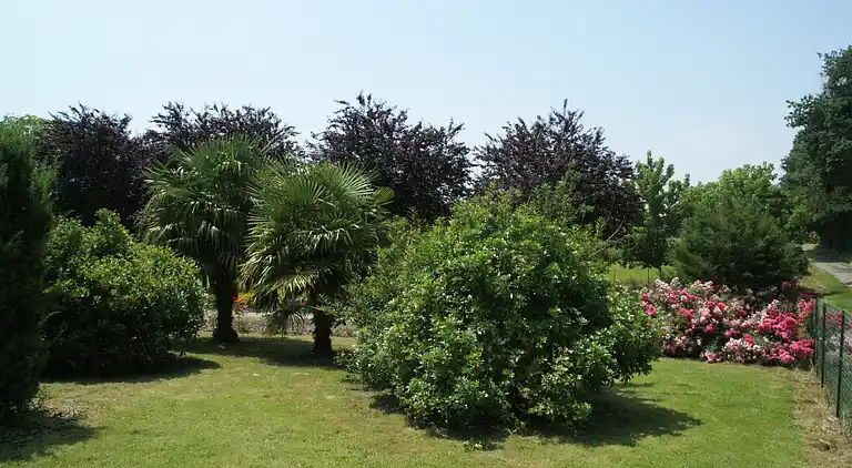 Holiday home in Vic-Fezensac