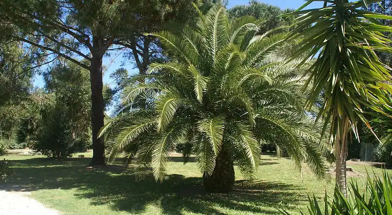 Ferienhaus in Ramatuelle