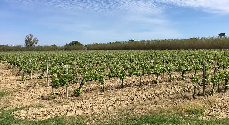 Ferienhaus in Ramatuelle