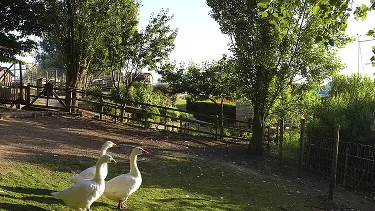 Apartment in Avrillé