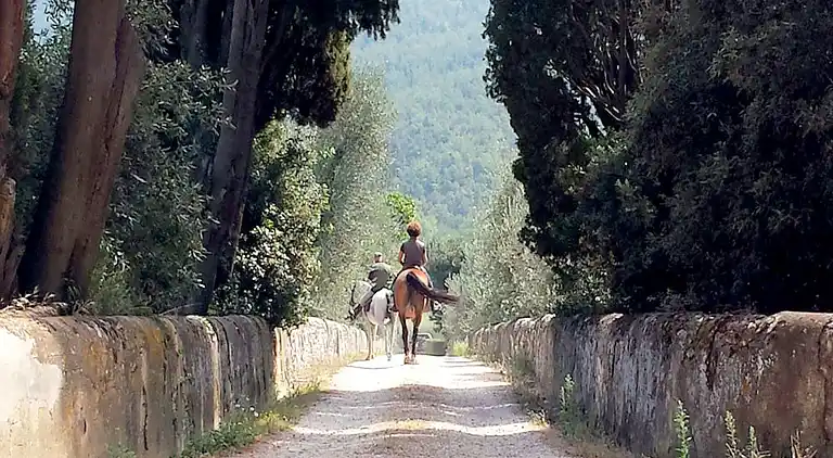 Cottage in Rignano sull'Arno