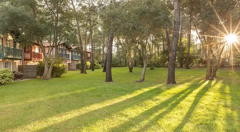 Apartment in Messanges