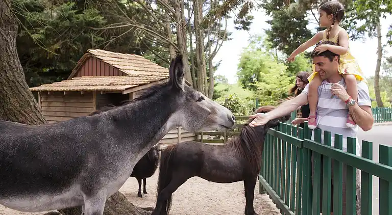 Holiday home in Messanges