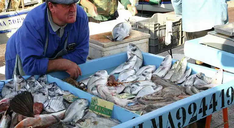 Sommerhus i Saint-Raphaël