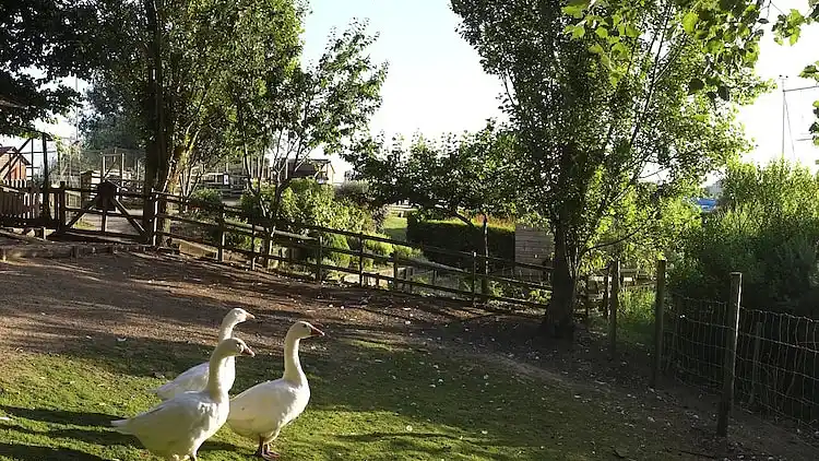 Holiday home in Avrillé