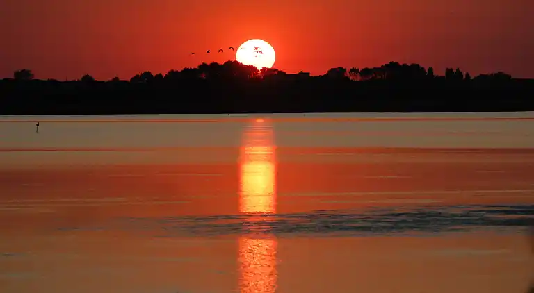 Ferielejlighed i Rosolina Mare