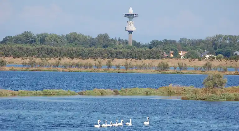 Appartement in Rosolina Mare