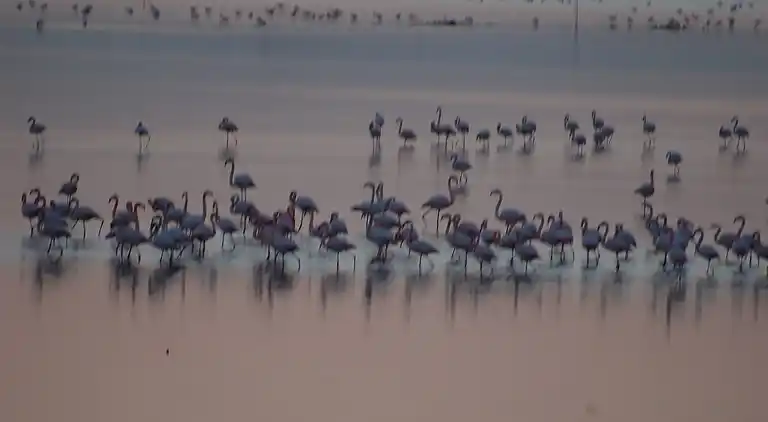 Leilighet i Rosolina Mare