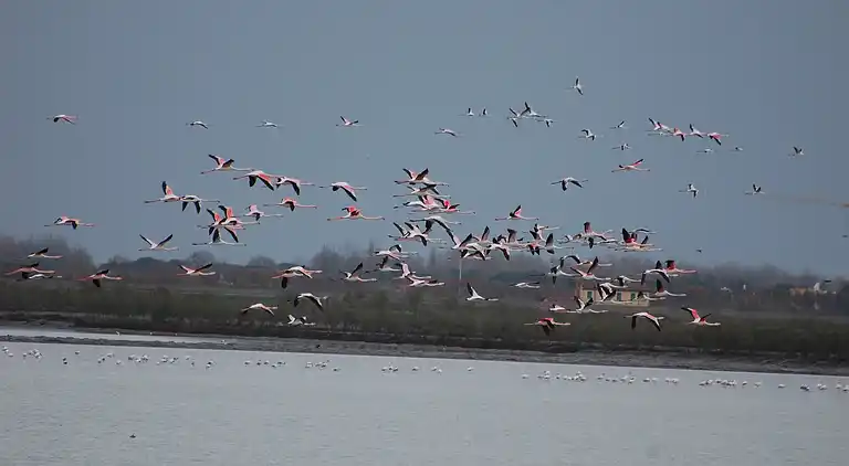 Leilighet i Rosolina Mare