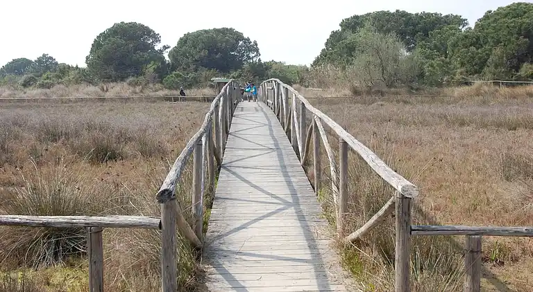 Leilighet i Rosolina Mare