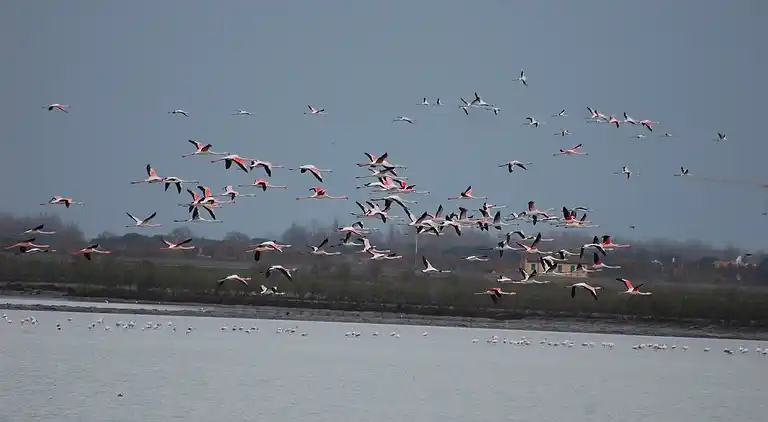 Leilighet i Rosolina Mare