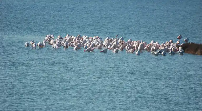 Leilighet i Rosolina Mare