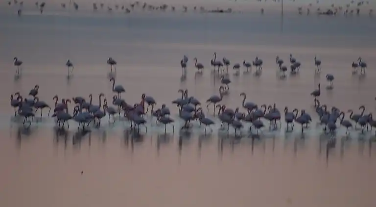 Leilighet i Rosolina Mare