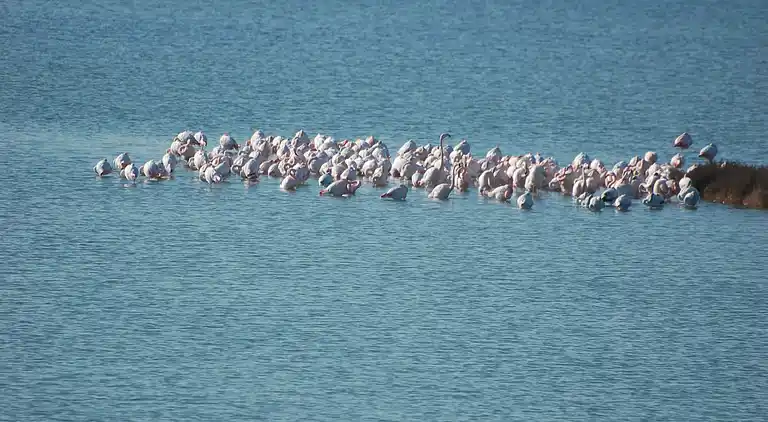 Leilighet i Rosolina Mare