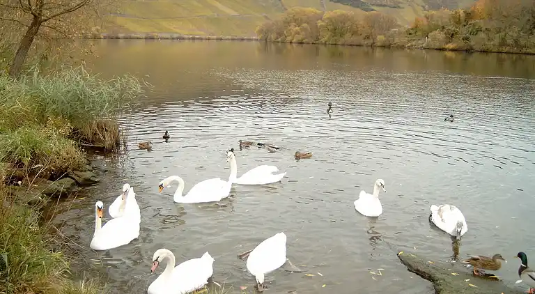Holiday home in Mastershausen