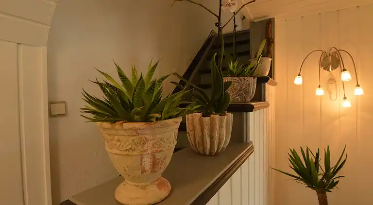 Holiday home in Mastershausen