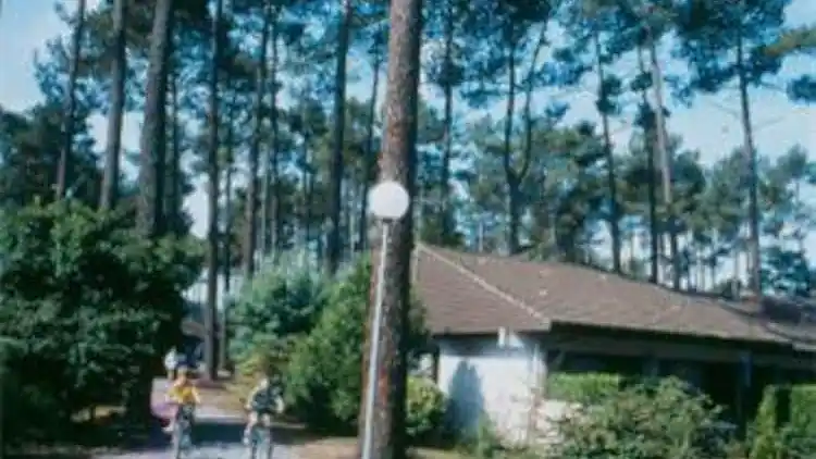 Bungalow in Lit-et-Mixe