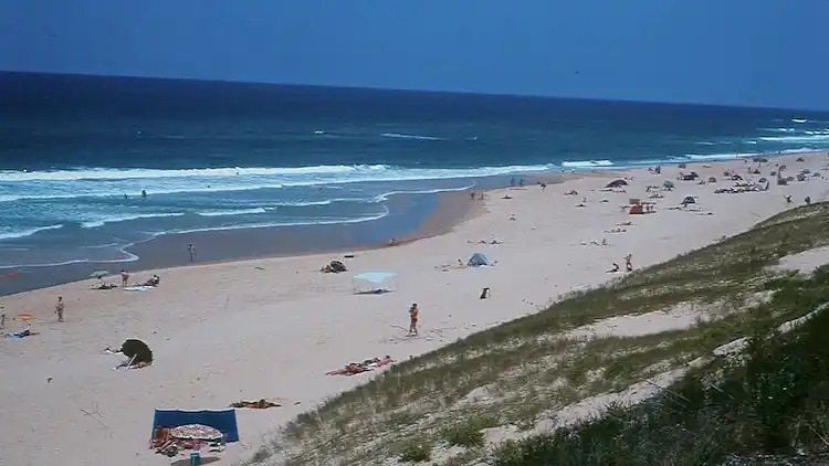 Bungalow in Lit-et-Mixe