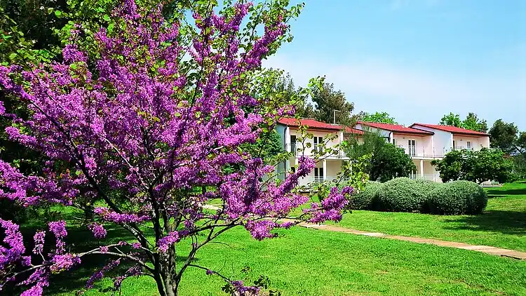 Ferielejlighed i Medulin