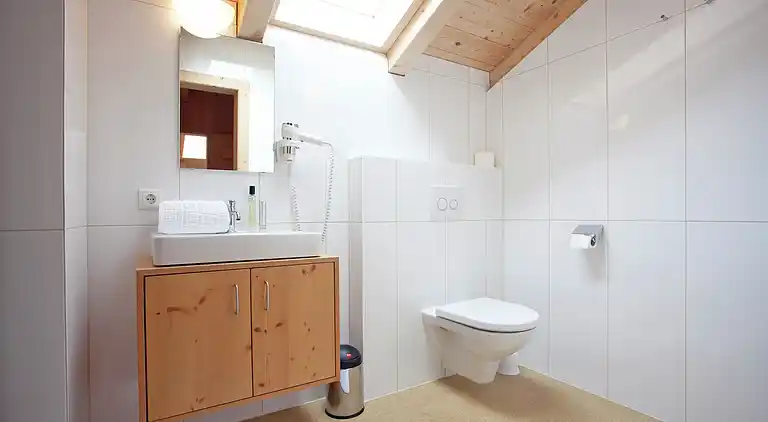 Apartment in Ramsau im Zillertal