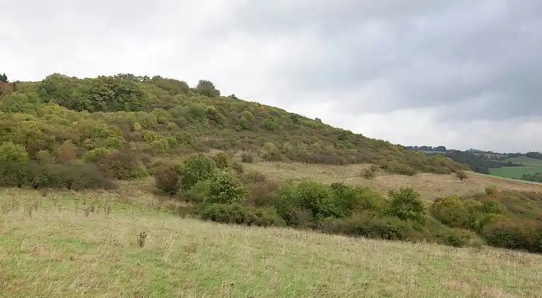 Apartment in Müllenborn