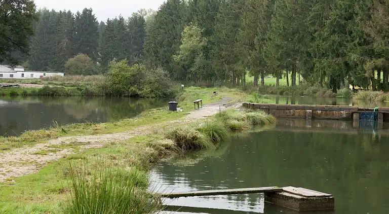 Apartment in Müllenborn