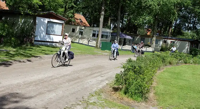 Vakantiehuis in IJhorst