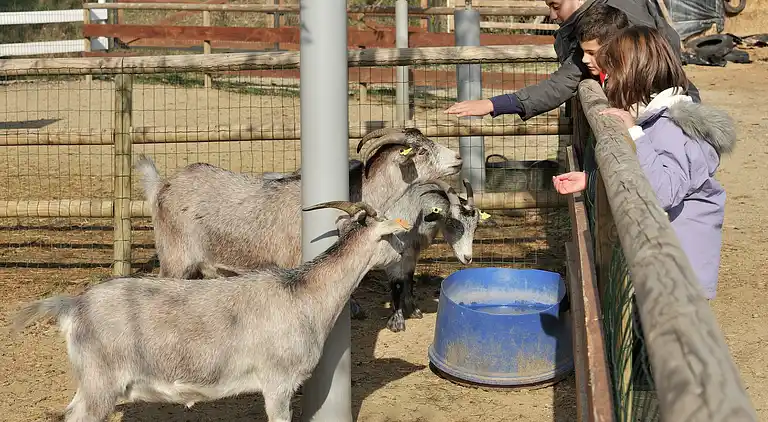 Bungalow in Prullans