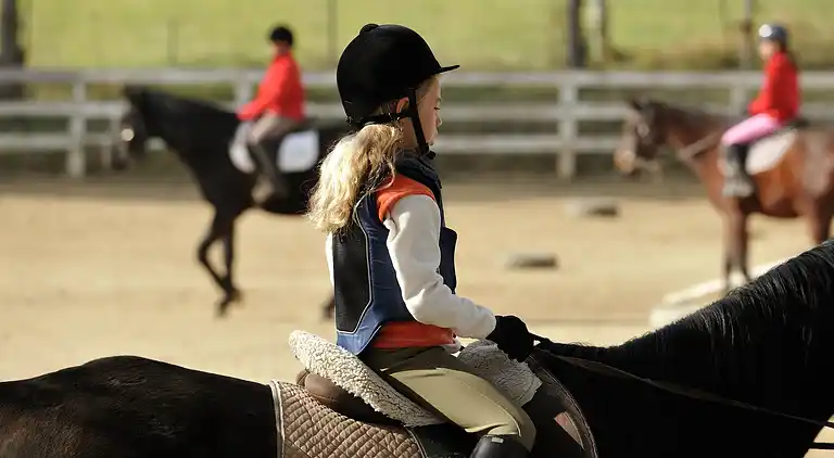 Bungalow in Prullans