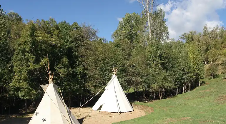 Bungalow in Prullans