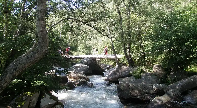 Bungalow in Prullans