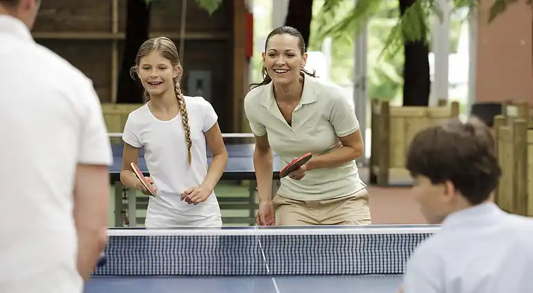 Holiday home in Dozulé