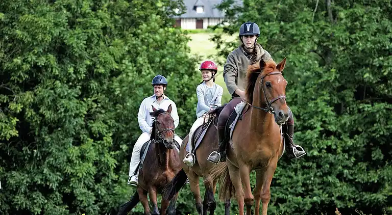 Holiday home in Dozulé