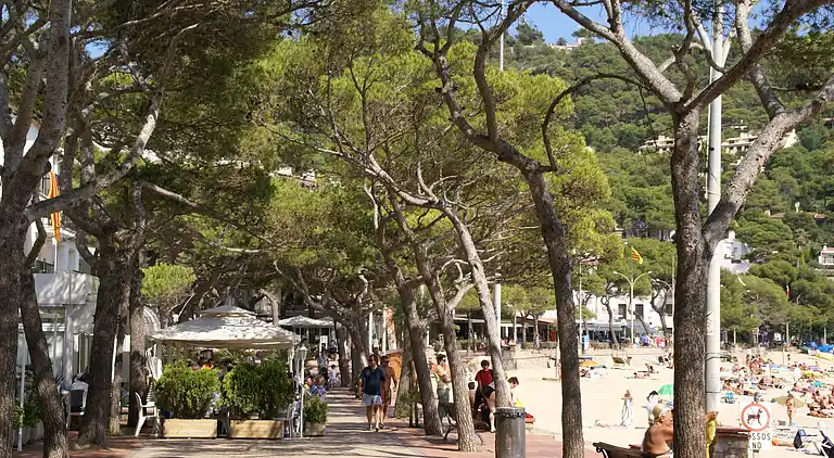 Apartment in Calella de Palafrugell