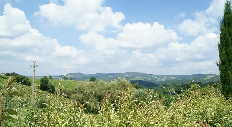 Appartamento in Barberino Tavarnelle