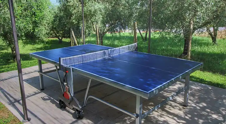 Mansione in Rapolano Terme